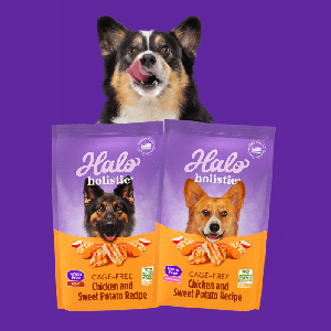 Free Halo Holistic Dog Food